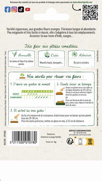 Fleurs - Souci Orange King - MEDIA_PACKAGING_VERSO